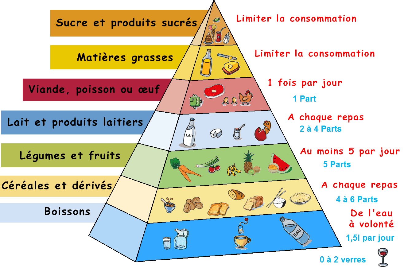regime alimentaire et sport